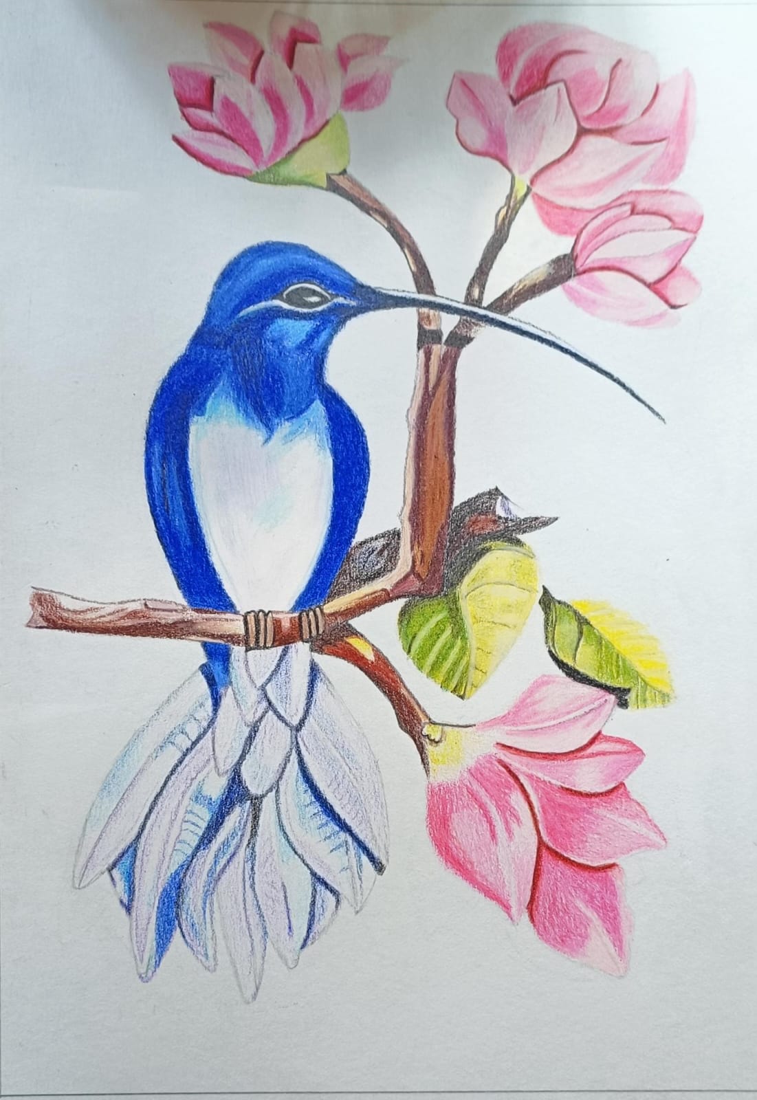 Pencil shading