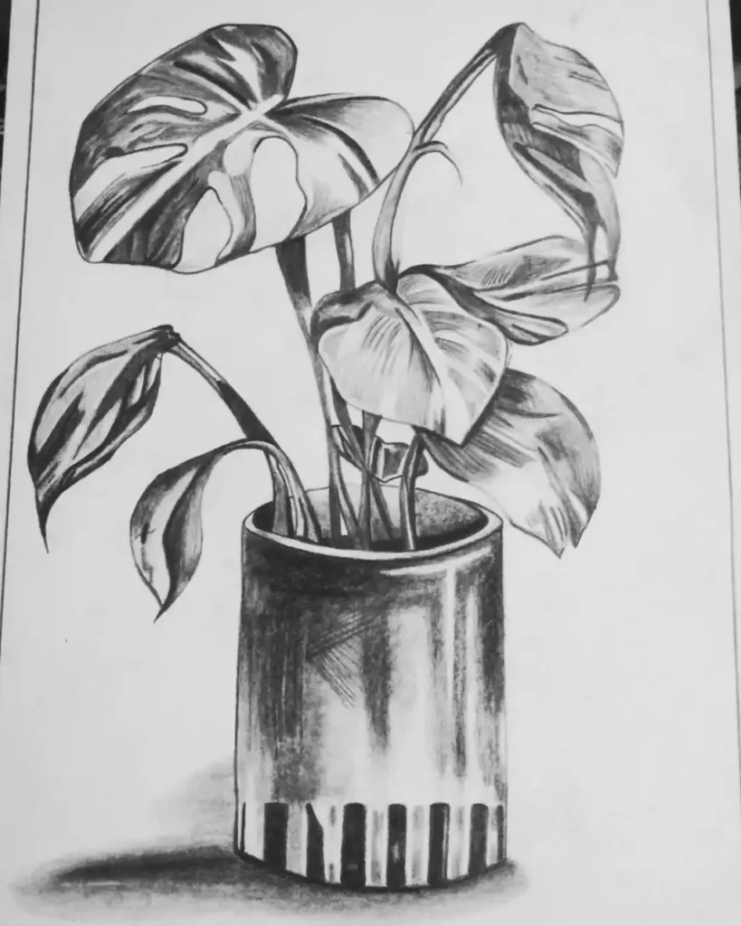 Pencil shading